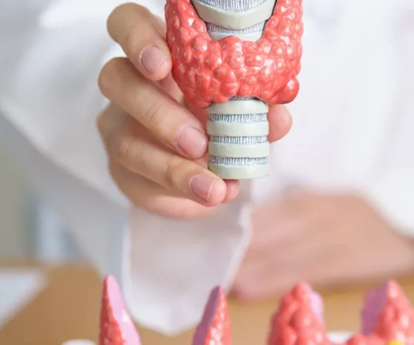 paratiroidi-metabolismo-del-calcio-1080x675